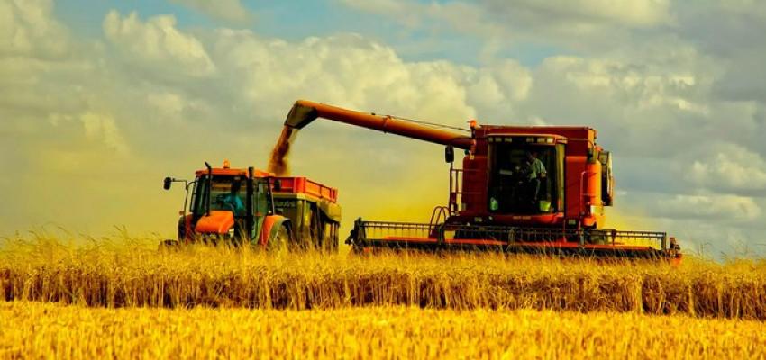 Мінімальна база оподаткування ПДВ при реалізації сільгосппродукції