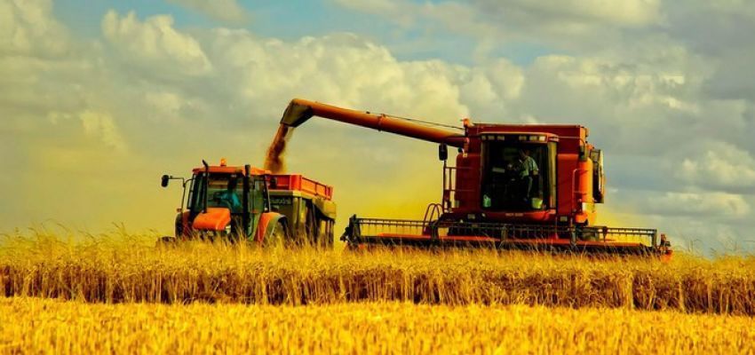Договори надання послуг/виконання робіт та оренди с.г. техніки