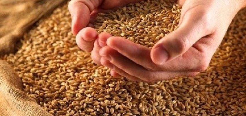 Оподаткування придбання у фізособи с.г. продукції