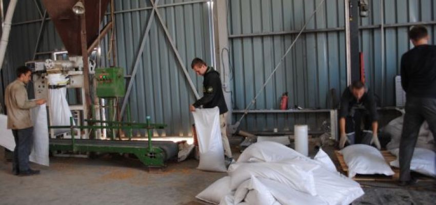 Продаж пошкодженої сільгосппродукції за зниженими цінами + приклад