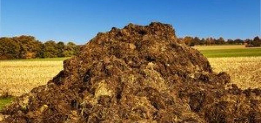Декларація про відходи
