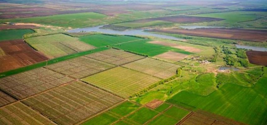 Нарахування орендної плати за землі державної/комунальної власності/невитребуваних паїв у 2024 році