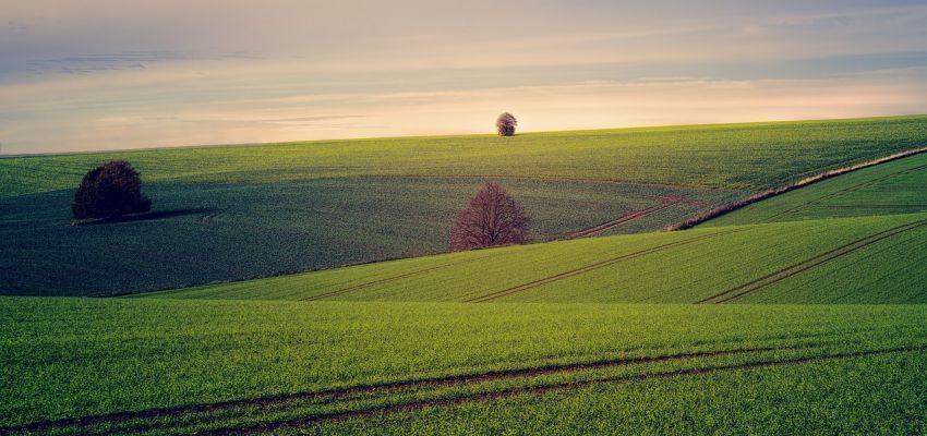 Як провести індексацію орендної плати за землю?