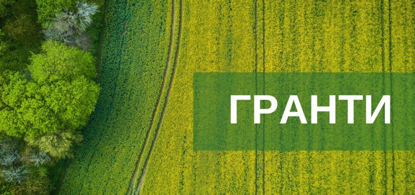 Гранти для аграріїв