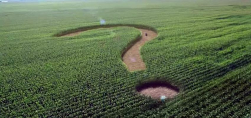 Мораторій на купівлю-продаж земель с.г. призначення