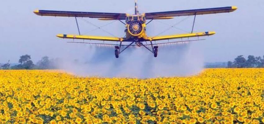 Продаж залишків пестицидів та ядохімікатів