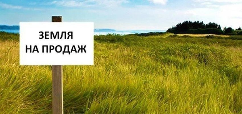 Викуп с.г. угідь ЮО до 10 тис. га в одні руки