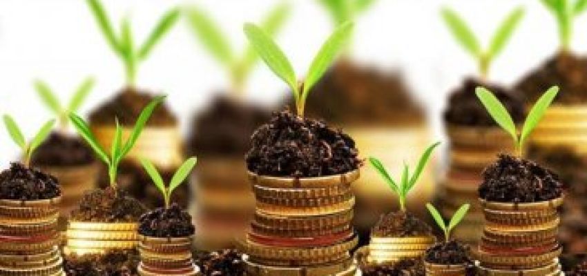 Сплата земельного податку єдинниками 4-ї групи