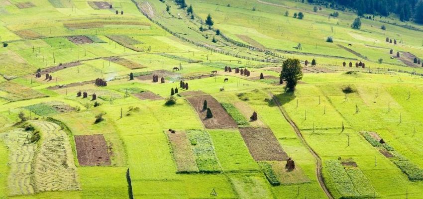 Використання результатів загальнонаціональної (всеукраїнської) НГО земель с.г. призначення для обчислення податкових зобов'язань з ЄП 4-ї групи