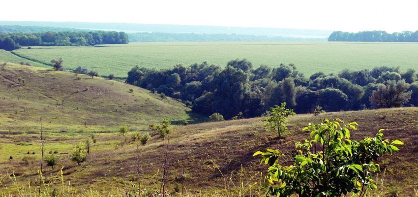 Воєнне звільнення від нарахування МПЗ