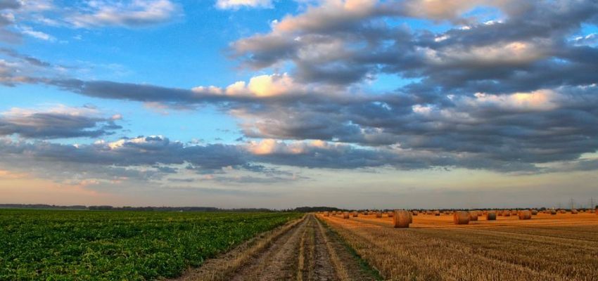 Оновлена Методика нормативної грошової оцінки земельних ділянок