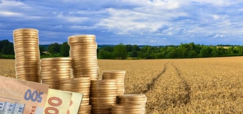 Оренда плата за невикористовувані земельні ділянки